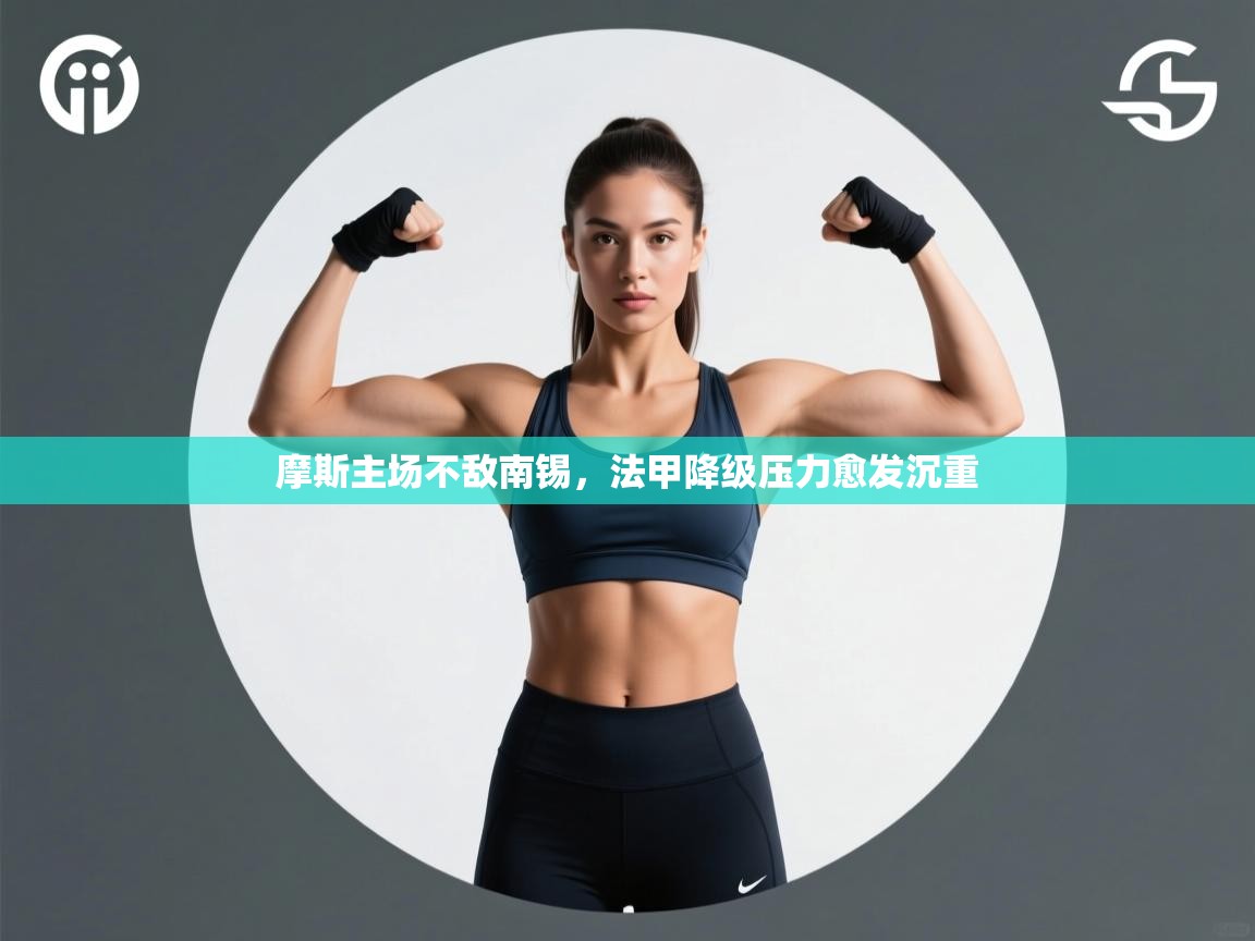 摩斯主场不敌南锡，法甲降级压力愈发沉重  第1张