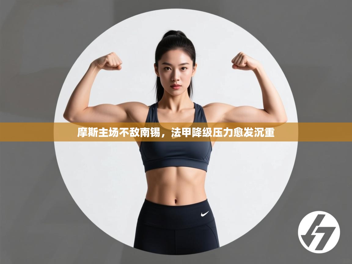 摩斯主场不敌南锡，法甲降级压力愈发沉重  第2张