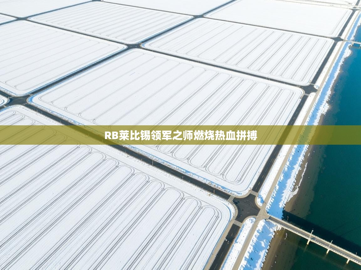 RB莱比锡领军之师燃烧热血拼搏  第1张