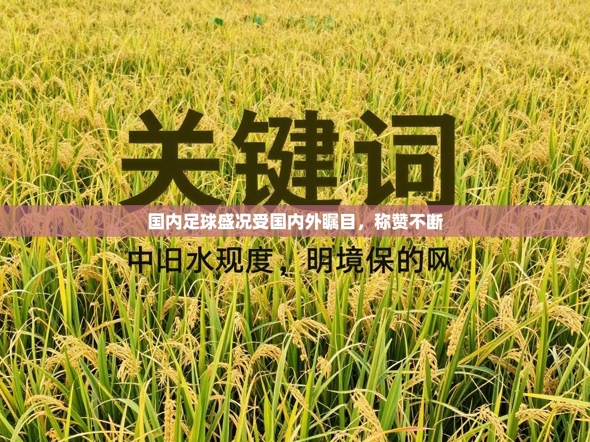 国内足球盛况受国内外瞩目,称赞不断